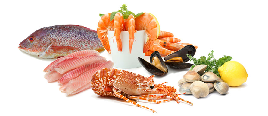 Image result for seafood
